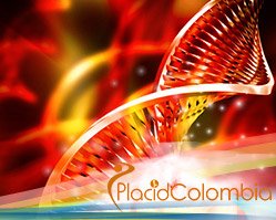 Slider image (6) PlacidWay Colombia